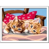 Pictura pe numere pisicute Ravensburger