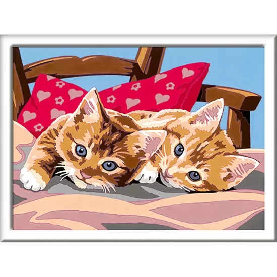 Pictura pe numere pisicute Ravensburger