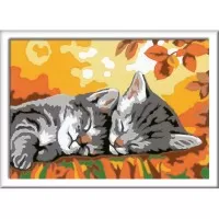 Pictura pe numere Ravensburger - Pisicute somnoroase
