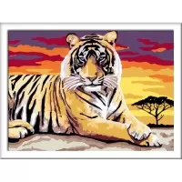 Pictura pe numere tigru Ravensburger