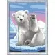 Pictura pe numere Ravensburger - Urs polar Pictura pe numere Ravensburger - Urs polar
