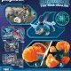 Playmobil Dragons - Plowhorn & D'Angelo Playmobil Dragons - Plowhorn & D'Angelo