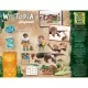 Set de joaca Playmobil Wiltopia - Ingrijirea furnicarului Set de joaca Playmobil Wiltopia - Ingrijirea furnicarului