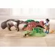 Set de joaca Playmobil Wiltopia - Ingrijirea furnicarului Set de joaca Playmobil Wiltopia - Ingrijirea furnicarului