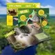 Puzzle 3D cu brosura padure amazoniana 67 piese Puzzle 3D cu brosura padure amazoniana 67 piese