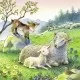 Puzzle Animale si pui - 3x49 piese Puzzle Animale si pui - 3x49 piese