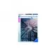 Puzzle Arc Triumf Paris 1000 piese