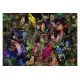Puzzle 1000 piese Ravensburger - Arta pasarilor