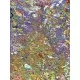 Puzzle 1500 piese Ravensburger - Banc de pesti Puzzle 1500 piese Ravensburger - Banc de pesti