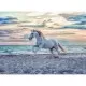 Puzzle cal pe plaja Ravensburger 500 piese Puzzle cal pe plaja Ravensburger 500 piese