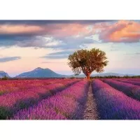 Puzzle 1000 piese Ravensburger - Camp de lavanda