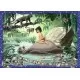 Puzzle Cartea Junglei - 1000 piese Puzzle Cartea Junglei - 1000 piese