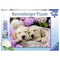 Puzzle Catei in patura - 300 piese