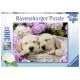Puzzle Catei in patura - 300 piese Puzzle Catei in patura - 300 piese
