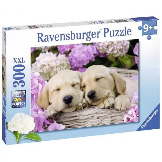 Puzzle Catei in patura - 300 piese Puzzle Catei in patura - 300 piese