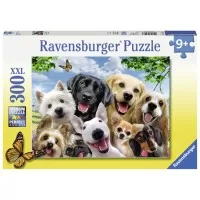 Puzzle Cateii incantati - 300 piese