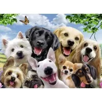 Puzzle Cateii incantati - 300 piese