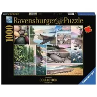 Puzzle 1000 piese Ravensburger - Colaj Coasta de Vest