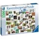Puzzle colaj cu animale 1500 piese Puzzle colaj cu animale 1500 piese