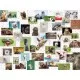 Puzzle colaj cu animale 1500 piese Puzzle colaj cu animale 1500 piese