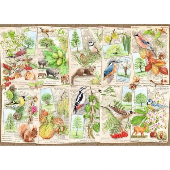 Puzzle copaci magnifici 1000 piese Puzzle copaci magnifici 1000 piese