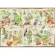 Puzzle copaci magnifici 1000 piese Puzzle copaci magnifici 1000 piese
