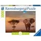 Puzzle elefant in Masai Mara 1000 piese Puzzle elefant in Masai Mara 1000 piese