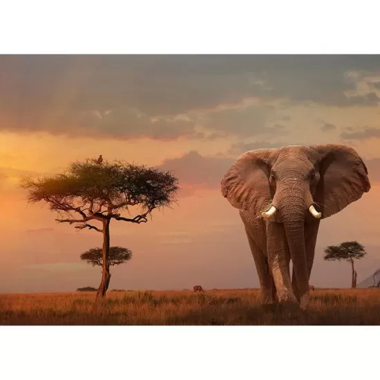 Puzzle elefant in Masai Mara 1000 piese Puzzle elefant in Masai Mara 1000 piese