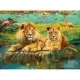 Puzzle familie de lei 500 piese Puzzle familie de lei 500 piese