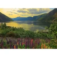 Puzzle Fiord Norvegia 1000 piese