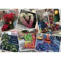 Puzzle flori in New York Ravensburger 1000 piese