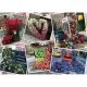 Puzzle flori in New York Ravensburger 1000 piese Puzzle flori in New York Ravensburger 1000 piese