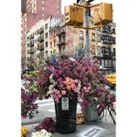 Puzzle Flori in New York 300 piese