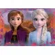 Puzzle Frozen II 2x12 piese Puzzle Frozen II 2x12 piese