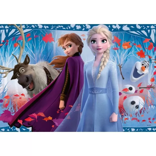 Puzzle Frozen II 2x12 piese Puzzle Frozen II 2x12 piese