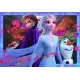 Puzzle Frozen II 2x24 piese Puzzle Frozen II 2x24 piese