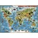 Puzzle Harta Animalelor 300 piese Puzzle Harta Animalelor 300 piese