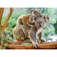 Puzzle Koala 200 piese