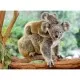Puzzle Koala 200 piese Puzzle Koala 200 piese