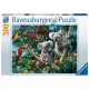 Puzzle Koala in copac 500 piese Ravensburger Puzzle Koala in copac 500 piese Ravensburger