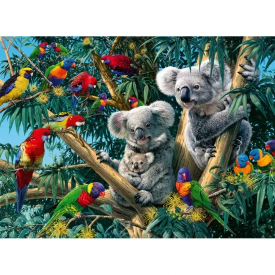 Puzzle Koala in copac 500 piese Ravensburger Puzzle Koala in copac 500 piese Ravensburger