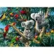 Puzzle Koala in copac 500 piese Ravensburger Puzzle Koala in copac 500 piese Ravensburger