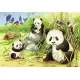 Puzzle Koala si Panda - 2x24 piese Puzzle Koala si Panda - 2x24 piese