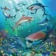 Puzzle lumea subacvatica 3x49 piese Ravensburger Puzzle lumea subacvatica 3x49 piese Ravensburger
