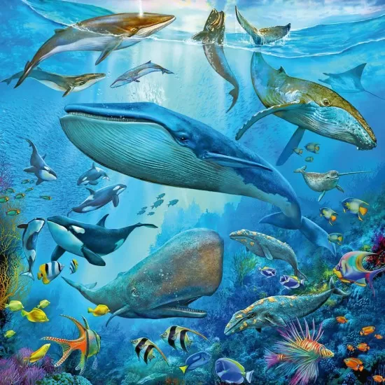 Puzzle lumea subacvatica 3x49 piese Ravensburger Puzzle lumea subacvatica 3x49 piese Ravensburger