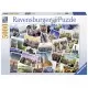 Puzzle New York City - 5000 piese Puzzle New York City - 5000 piese