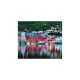 Puzzle orasul Bergen 1000 piese Puzzle orasul Bergen 1000 piese