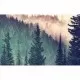 Puzzle padure 200 piese