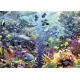 Puzzle Paradis - 9000 piese Puzzle Paradis - 9000 piese
