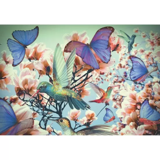 Puzzle Pasarea Colibri 300 piese Puzzle Pasarea Colibri 300 piese